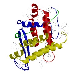 Image of CATH 4lms