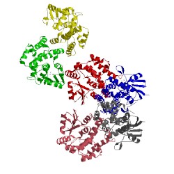 Image of CATH 4lmv