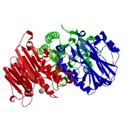 Image of CATH 4lnd