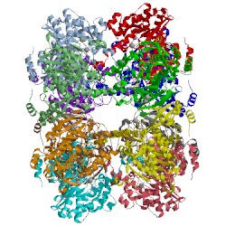 Image of CATH 4lnf