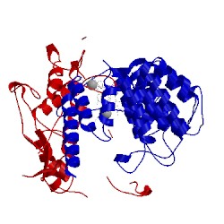 Image of CATH 4lng