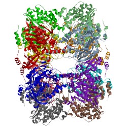 Image of CATH 4lnn