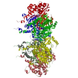 Image of CATH 4lno