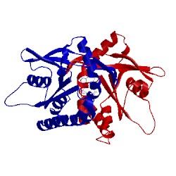 Image of CATH 4lok