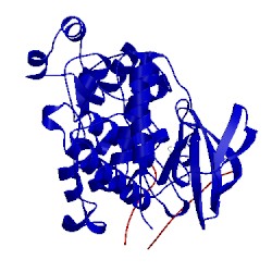 Image of CATH 4loo