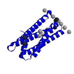 Image of CATH 4lpm