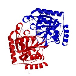 Image of CATH 4lps