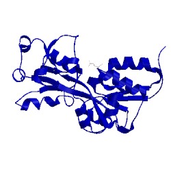 Image of CATH 4lq2
