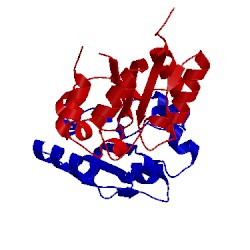 Image of CATH 4lqc