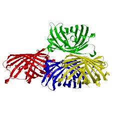 Image of CATH 4lqu