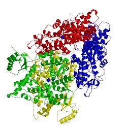 Image of CATH 4lrl