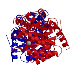 Image of CATH 4lsb