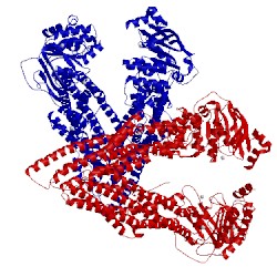 Image of CATH 4lsg