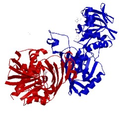 Image of CATH 4lsm