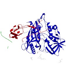Image of CATH 4lsp