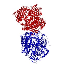Image of CATH 4lte