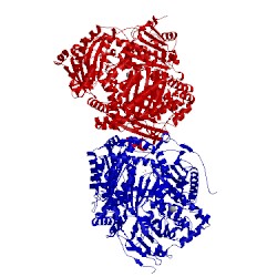 Image of CATH 4lte