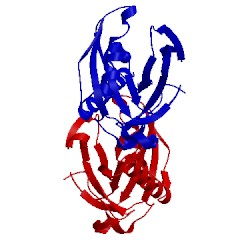 Image of CATH 4lug