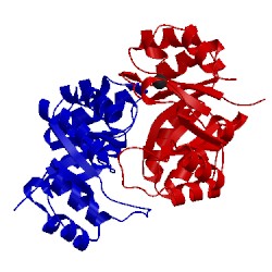 Image of CATH 4lui