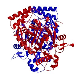 Image of CATH 4lux
