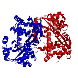 Image of CATH 4lv7