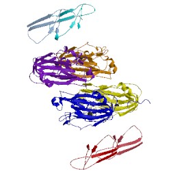 Image of CATH 4lvh