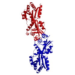 Image of CATH 4lvq