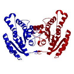Image of CATH 4lvu