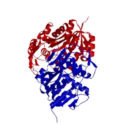 Image of CATH 4lw8