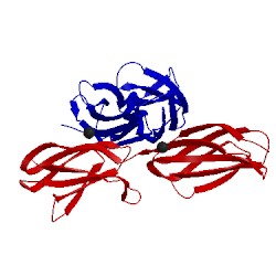 Image of CATH 4lxo