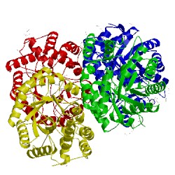 Image of CATH 4ly8