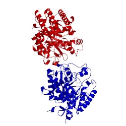 Image of CATH 4lyp