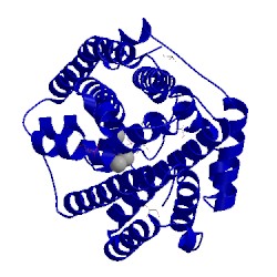 Image of CATH 4lz3