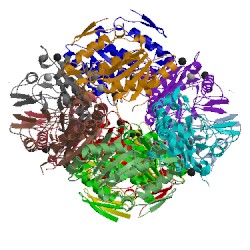 Image of CATH 4lzb