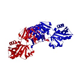 Image of CATH 4lzn