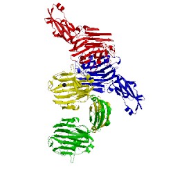 Image of CATH 4m01