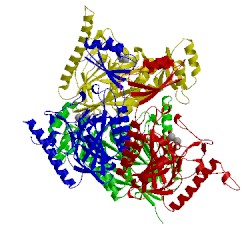 Image of CATH 4m0v
