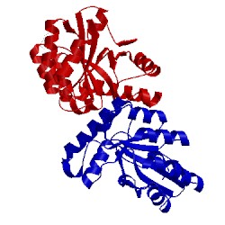 Image of CATH 4m1b