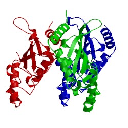 Image of CATH 4m1n