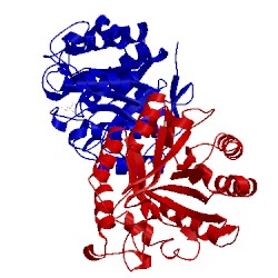 Image of CATH 4m1r