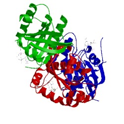 Image of CATH 4m1y