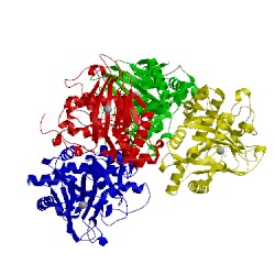 Image of CATH 4m2f