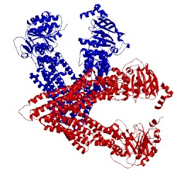 Image of CATH 4m2s