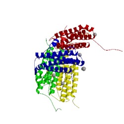 Image of CATH 4m33