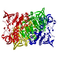 Image of CATH 4m52