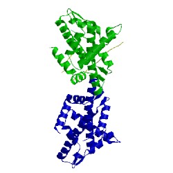 Image of CATH 4m6b