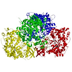 Image of CATH 4m6v