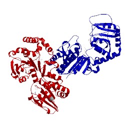 Image of CATH 4m83