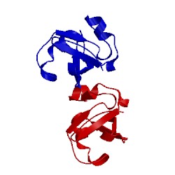 Image of CATH 4mac