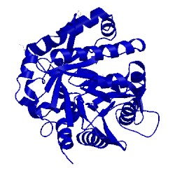 Image of CATH 4mav